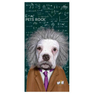 Πετσέτα Θαλάσσης Astro Pets Rock Einstein Dog - 150 x 75 cm Πετσέτα Θαλάσσης Astro Pets Rock Einstein Dog - 150 x 75 cm