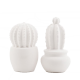 Διακοσμητικός Κεραμικός Κάκτος με LED Shine Inline